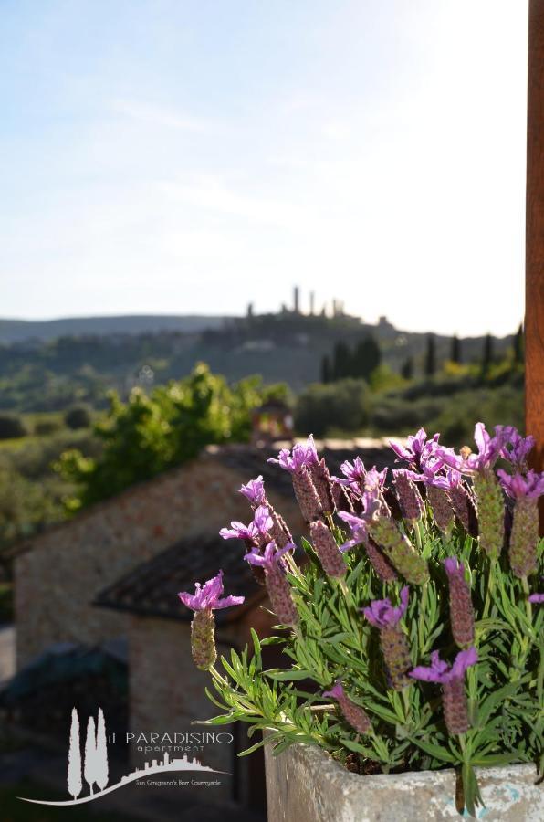 Il Paradisino San Gimignano'S Best Countryside Экстерьер фото